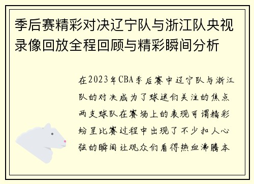 季后赛精彩对决辽宁队与浙江队央视录像回放全程回顾与精彩瞬间分析