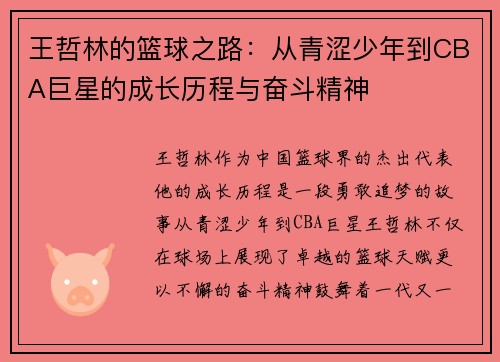 王哲林的篮球之路:从青涩少年到CBA巨星的成长历程与奋斗精神