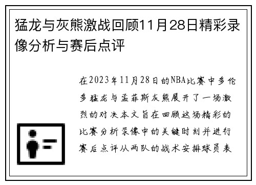 猛龙与灰熊激战回顾11月28日精彩录像分析与赛后点评